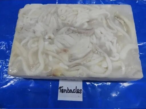 CUTTLEFISH TENTACLES - BLOCK FROZEN image 1