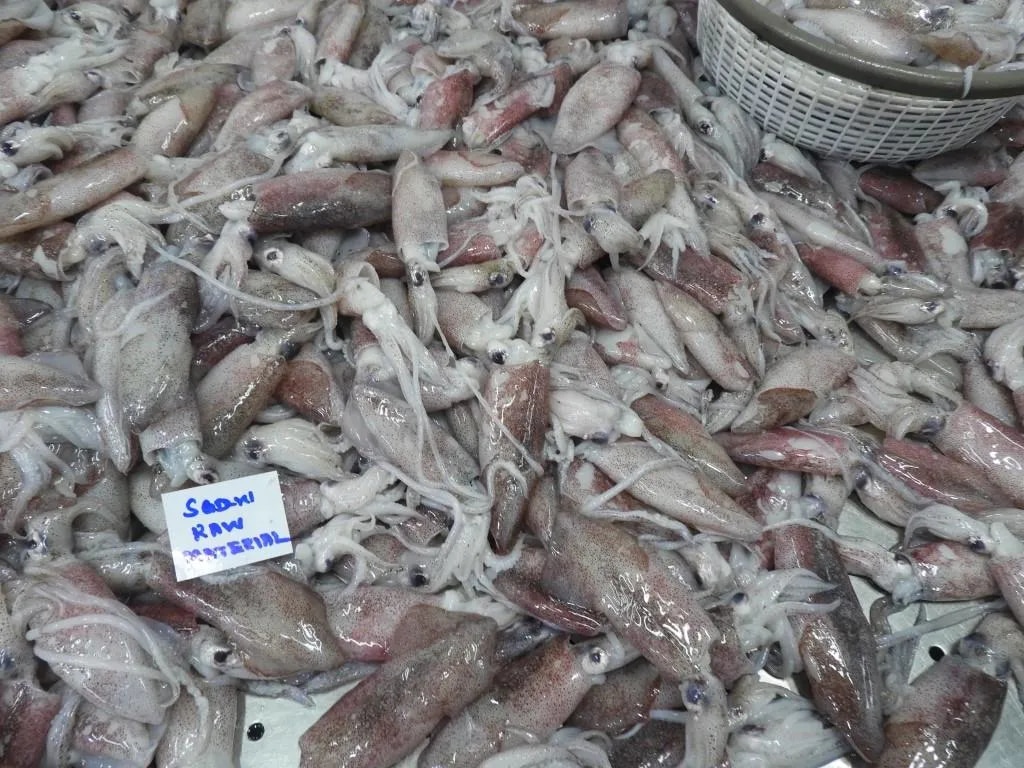 RAW FROZEN WHITE SQUID G1 (BLOCK) image 1