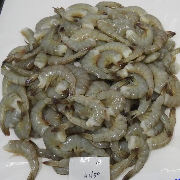 HEADLESS VANNAMEI SHRIMPS & PRAWNS (BLOCK) image 1