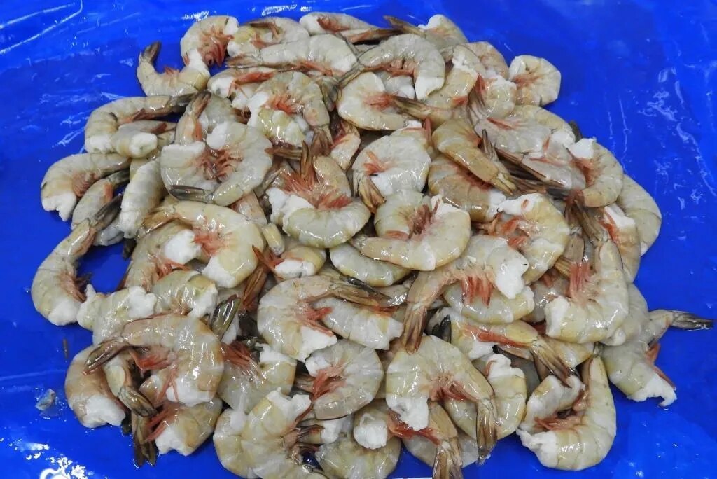 HEADLESS WHITE G2 SHRIMPS & PRAWNS image 1
