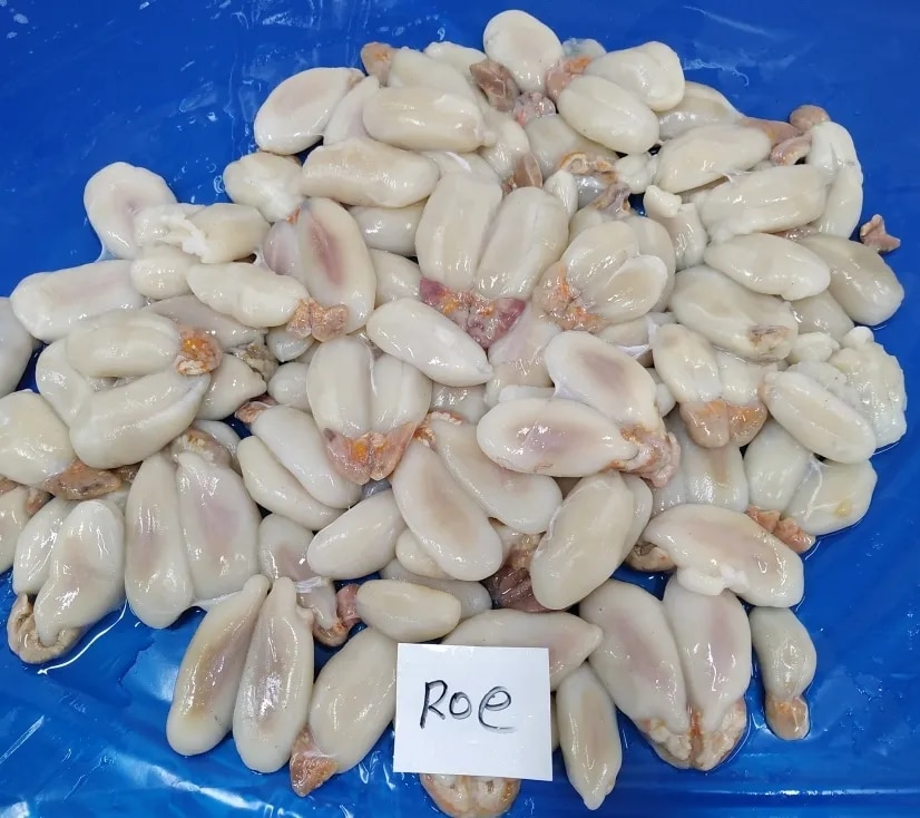 CUTTLEFISH ROE/EGG - BLOCK FROZEN image 1