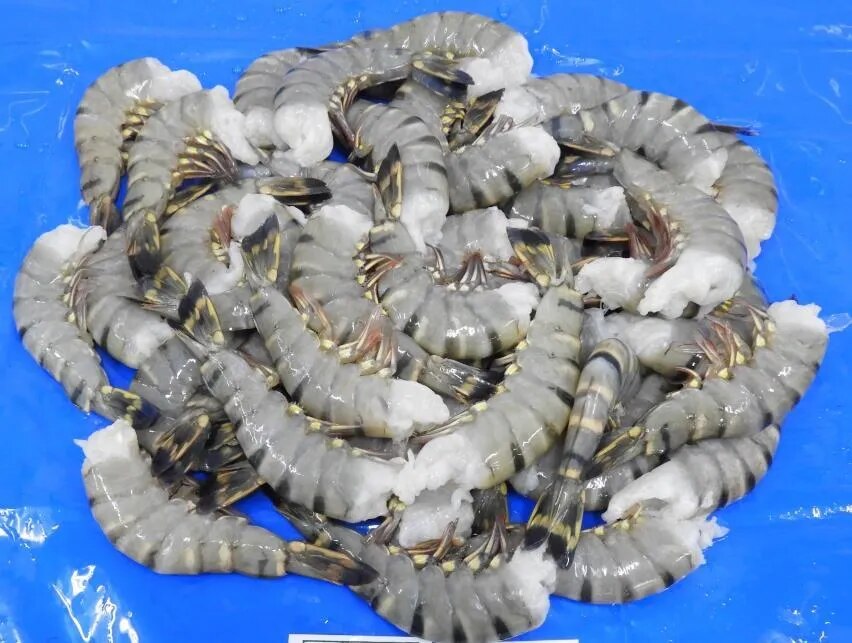 HEADLESS BLACK TIGER SHRIMPS & PRAWNS image 1