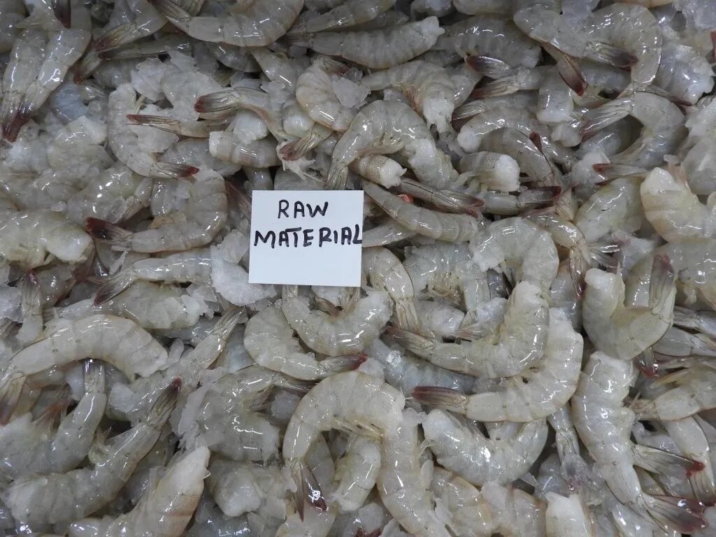 HEADLESS VANNAMEI SHRIMPS & PRAWNS image 1