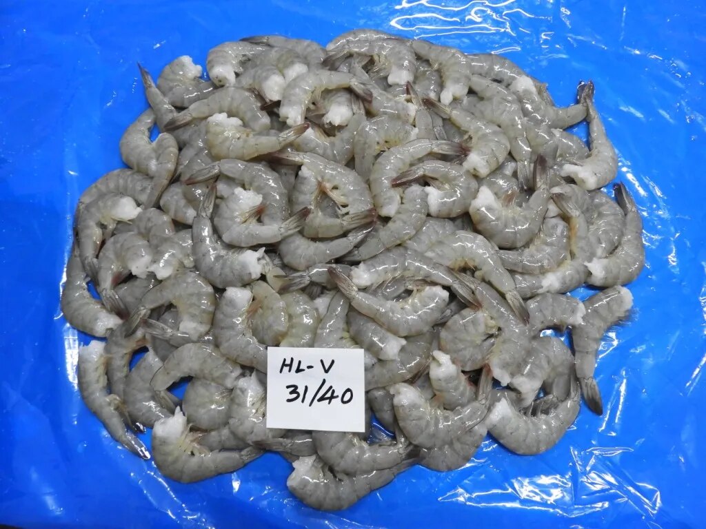 Headless Vannamei Shrimps 31/40 grade (Block) image 1