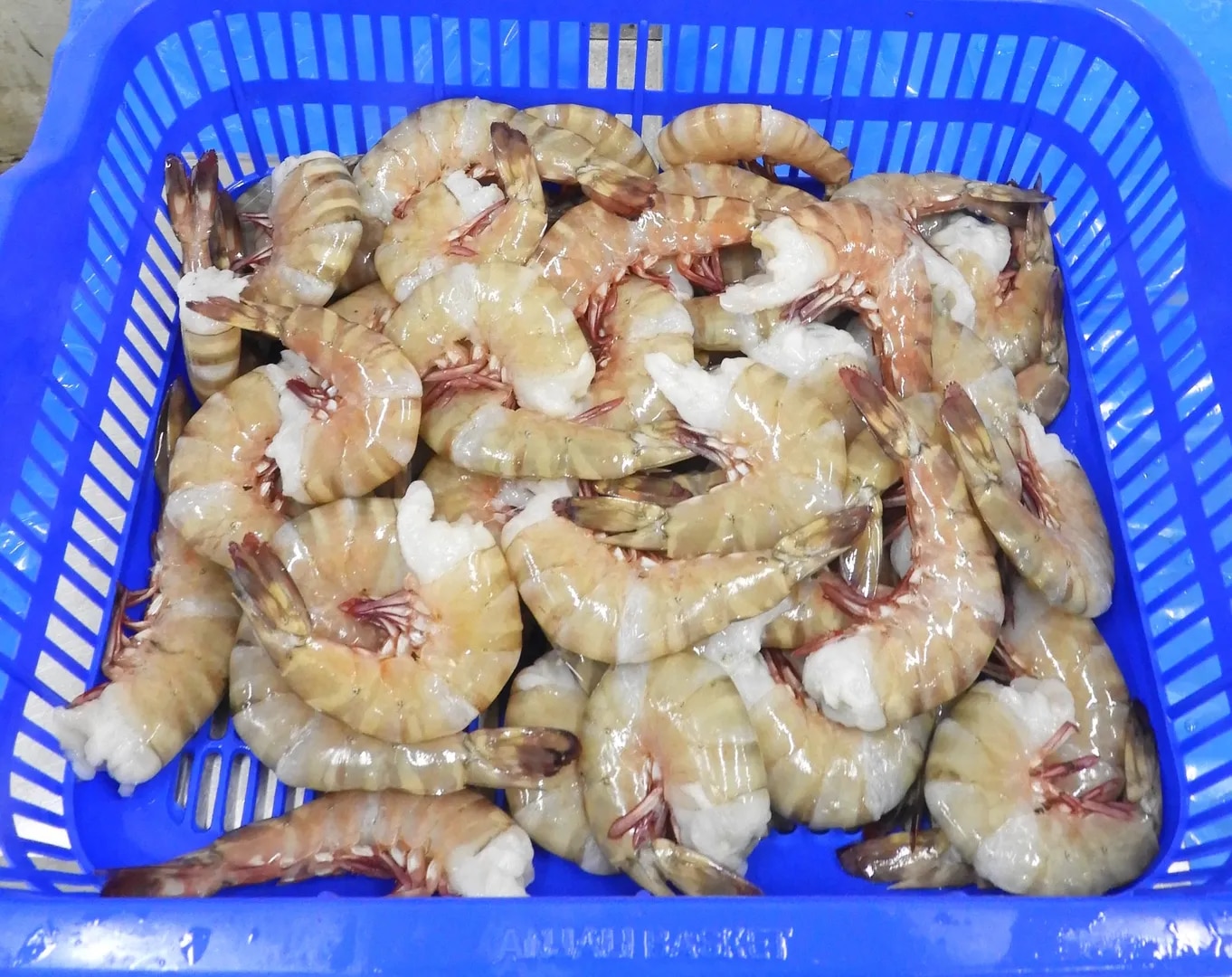Headless Flower Shrimps & Prawns image 1