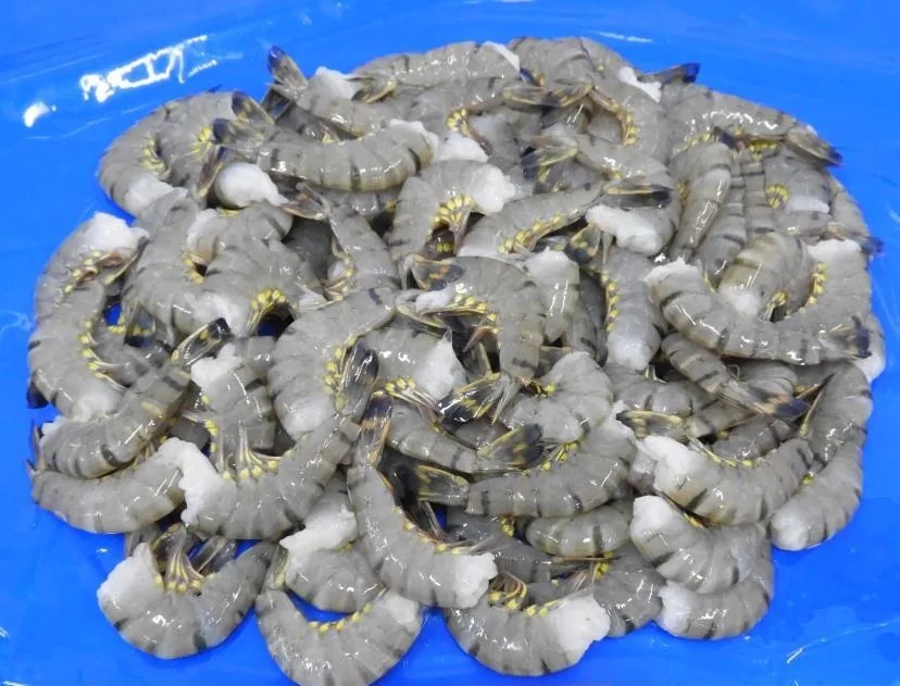 Headless Black Tiger Shrimps & Prawns image 1