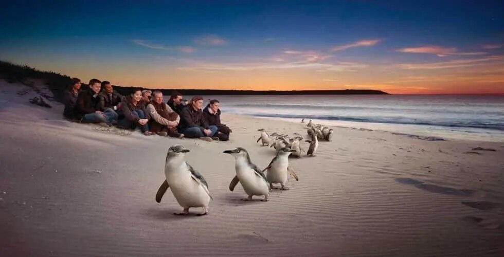 Australia NewZealand-AUSTRALIAN ESCAPE image 1