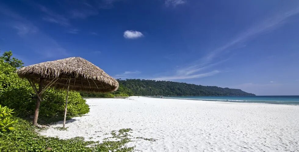 ANDAMAN -ANDAMAN ECONOMY image 1