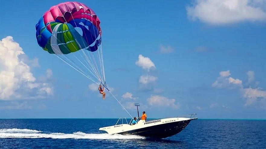 GOA-GOA image 1