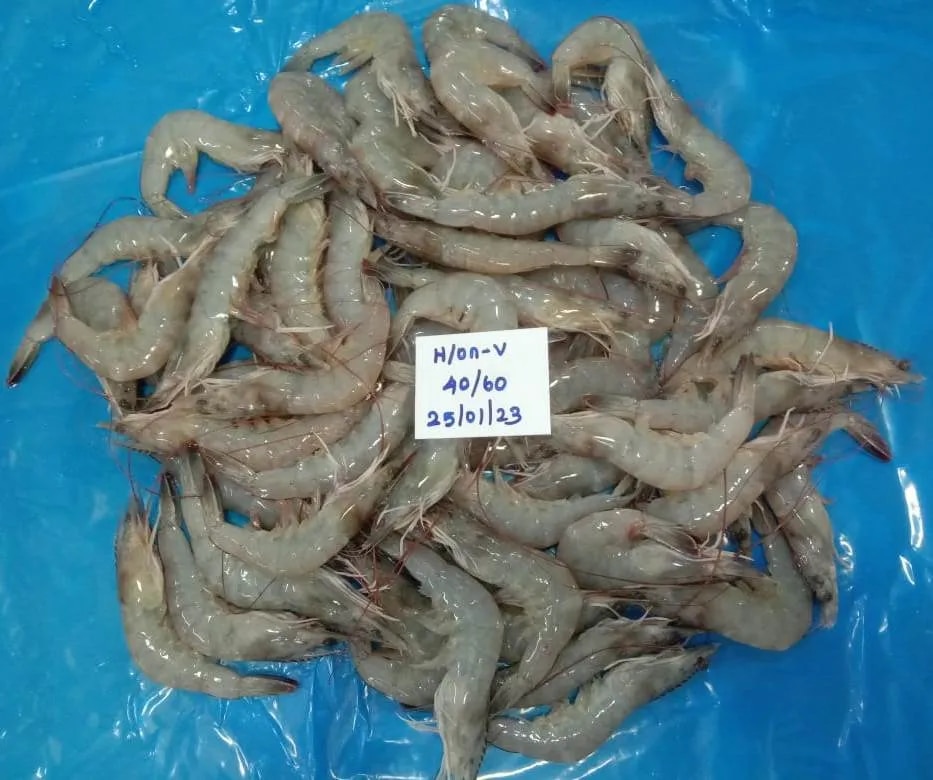 Head on Vannamei Shrimps & Prawns image 1