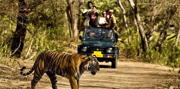 NAINITAL -NAINITAL CORBETT PARK ECONOMY image 1