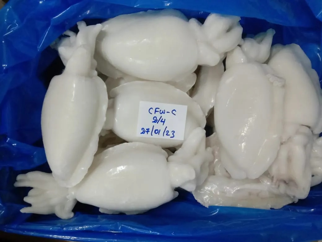 Cuttlefish Whole Cleaned (IQF) image 1