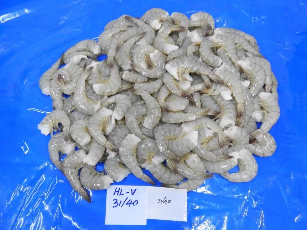 Headless Vannamei Shrimps image 1