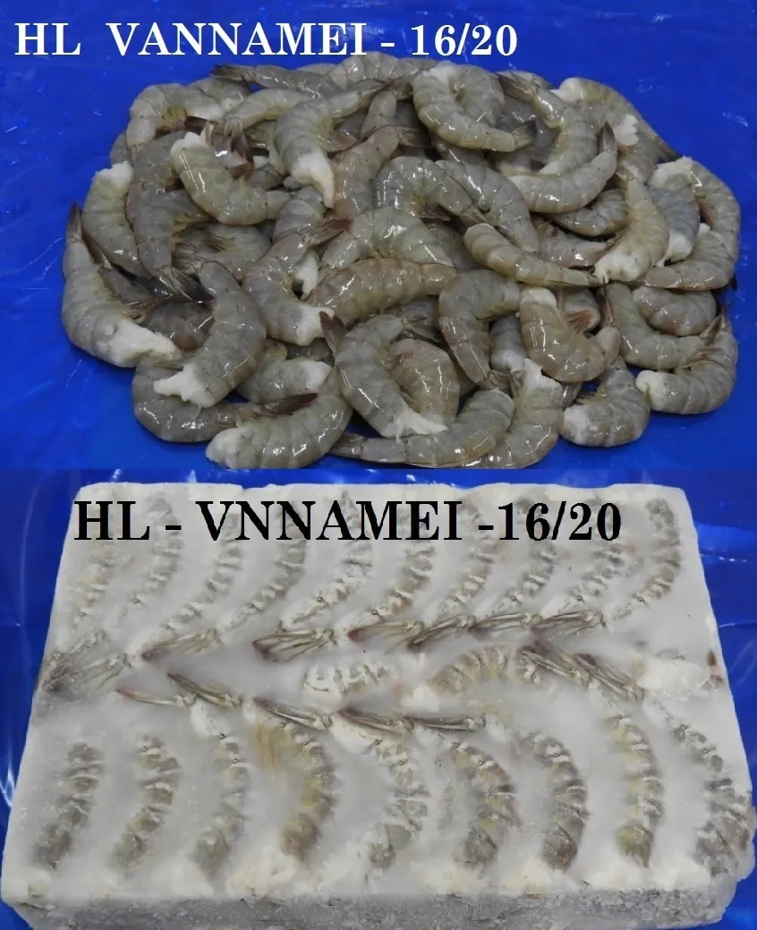 Headless Vannamei Shrimps image 1