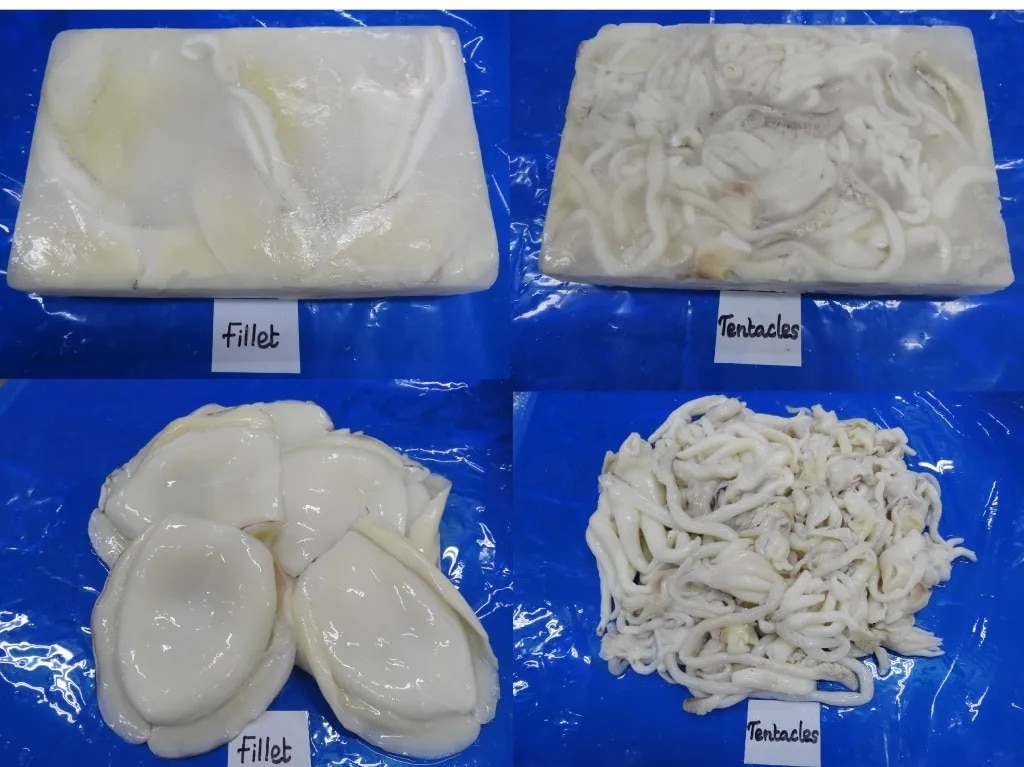 Cuttlefish Fillet & Tentacles image 1