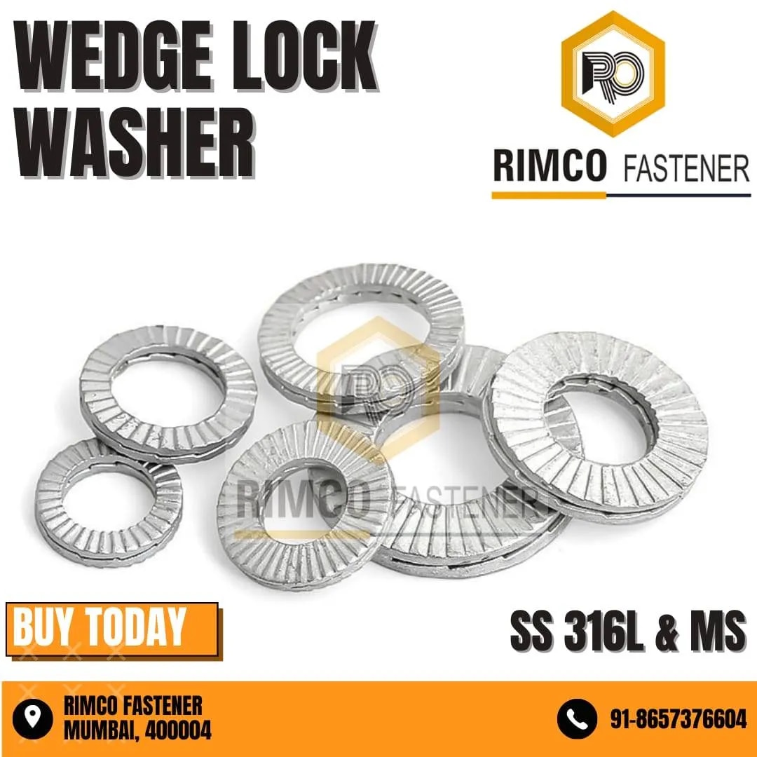 Stainless Steel 316L Wedge Lock Washer image 1