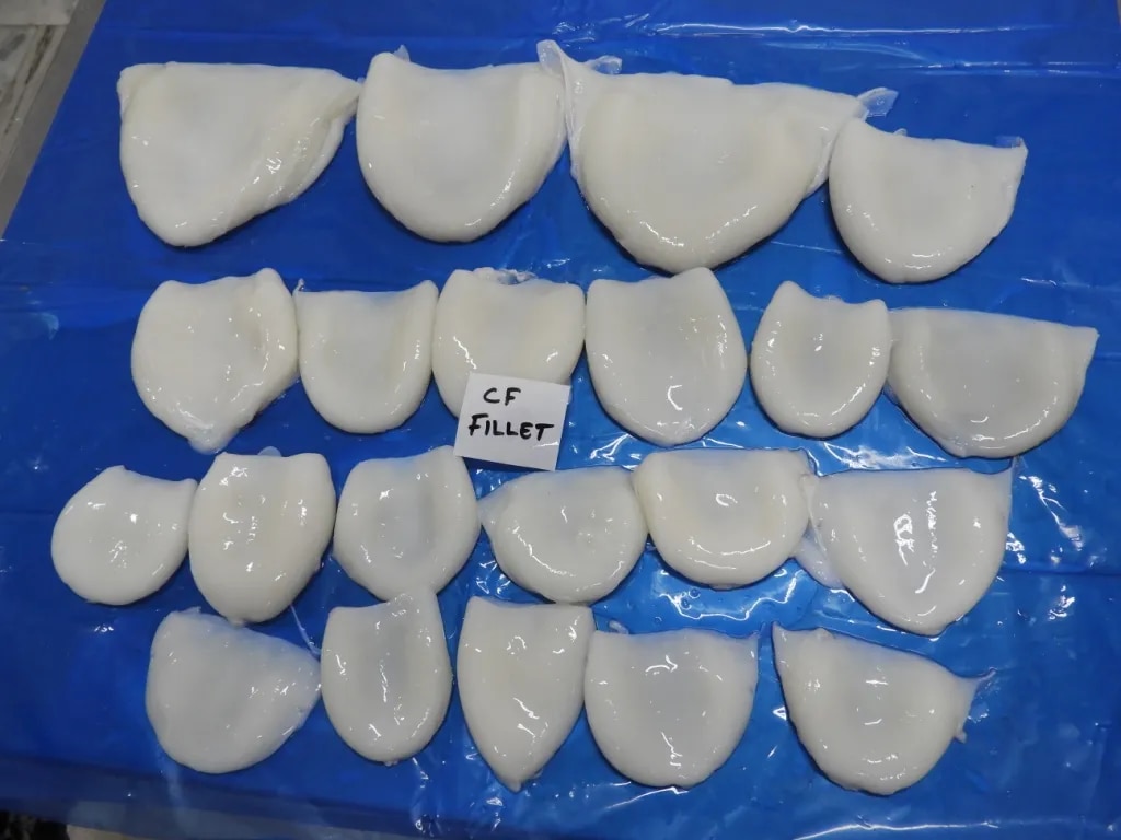 Cuttlefish Fillet (Block) image 1