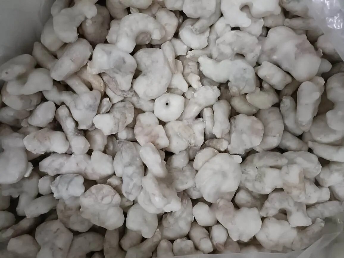 Big size cleaned shrimps image 1