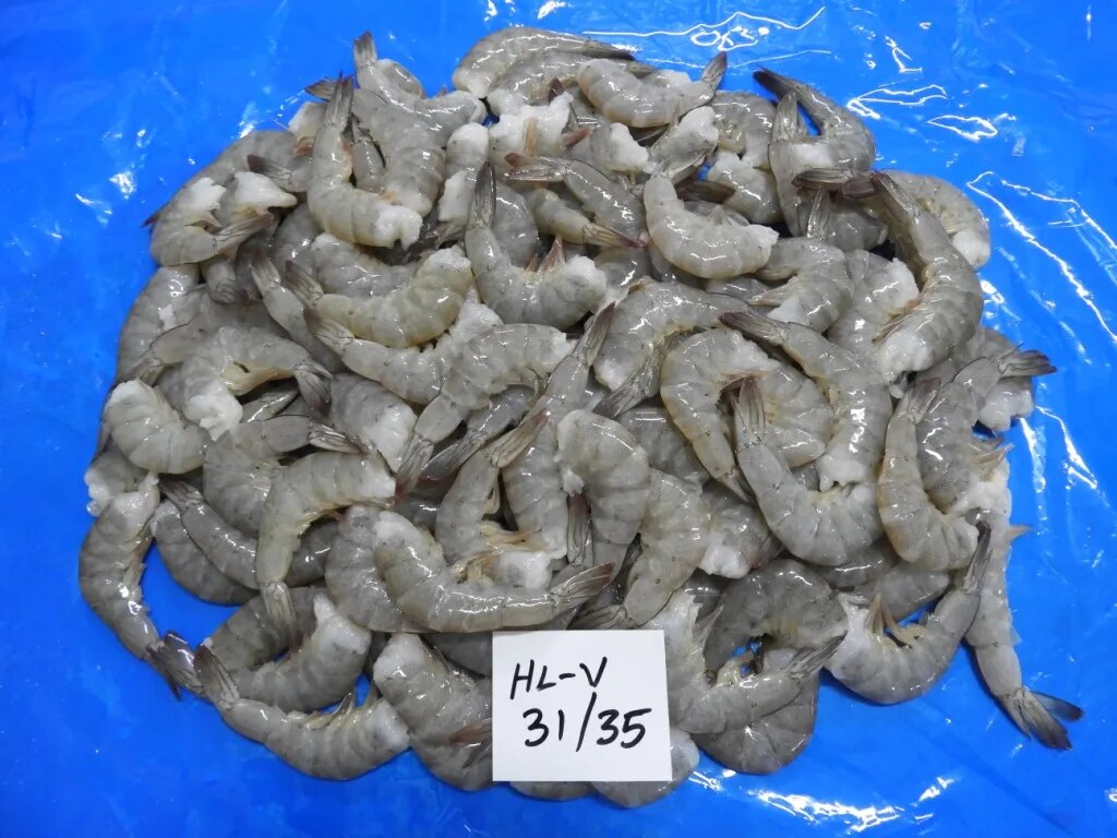 Headless Vannamei Shrimps image 1