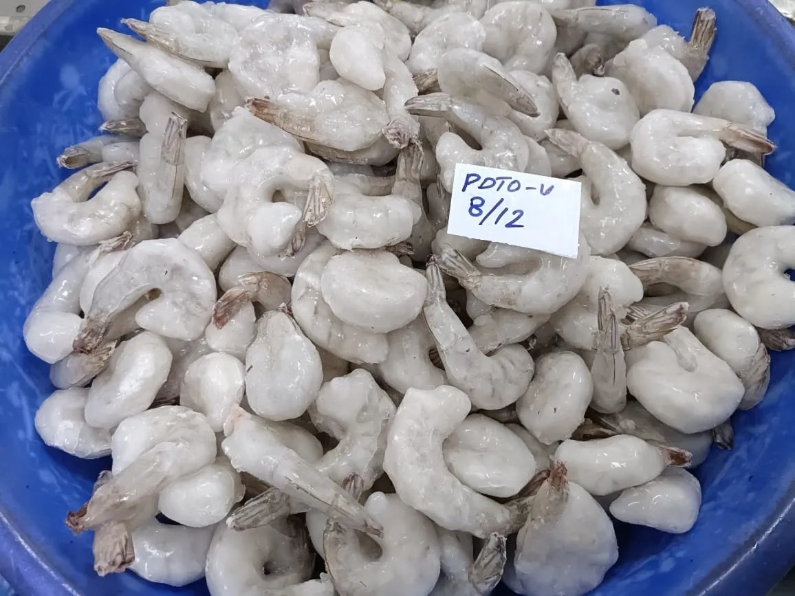 PD & PDTO VANNAMEI SHRIMPS image 1