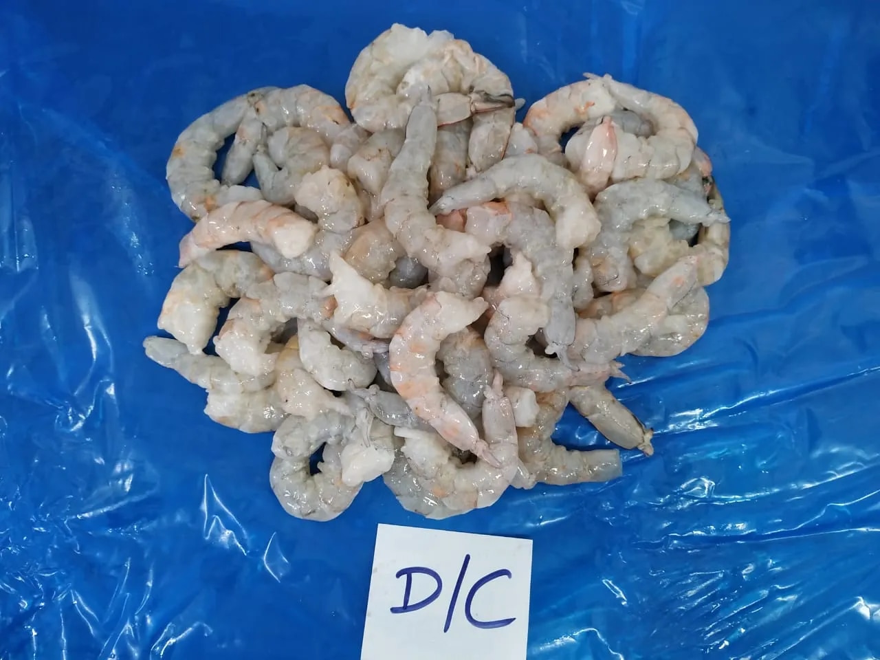 Big size jumbo prawns DC image 1