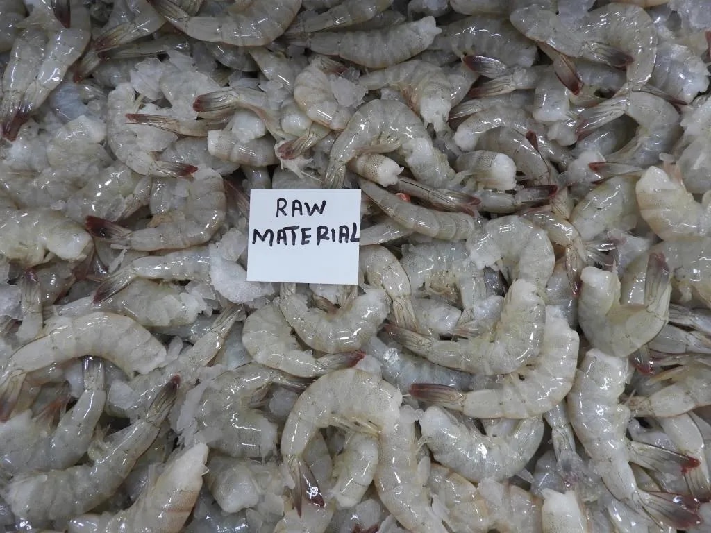 Headless Vannamei Shrimps (Block) image 1