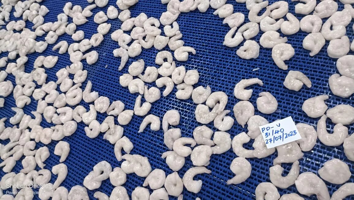 PD Vannamei Shrimps image 1