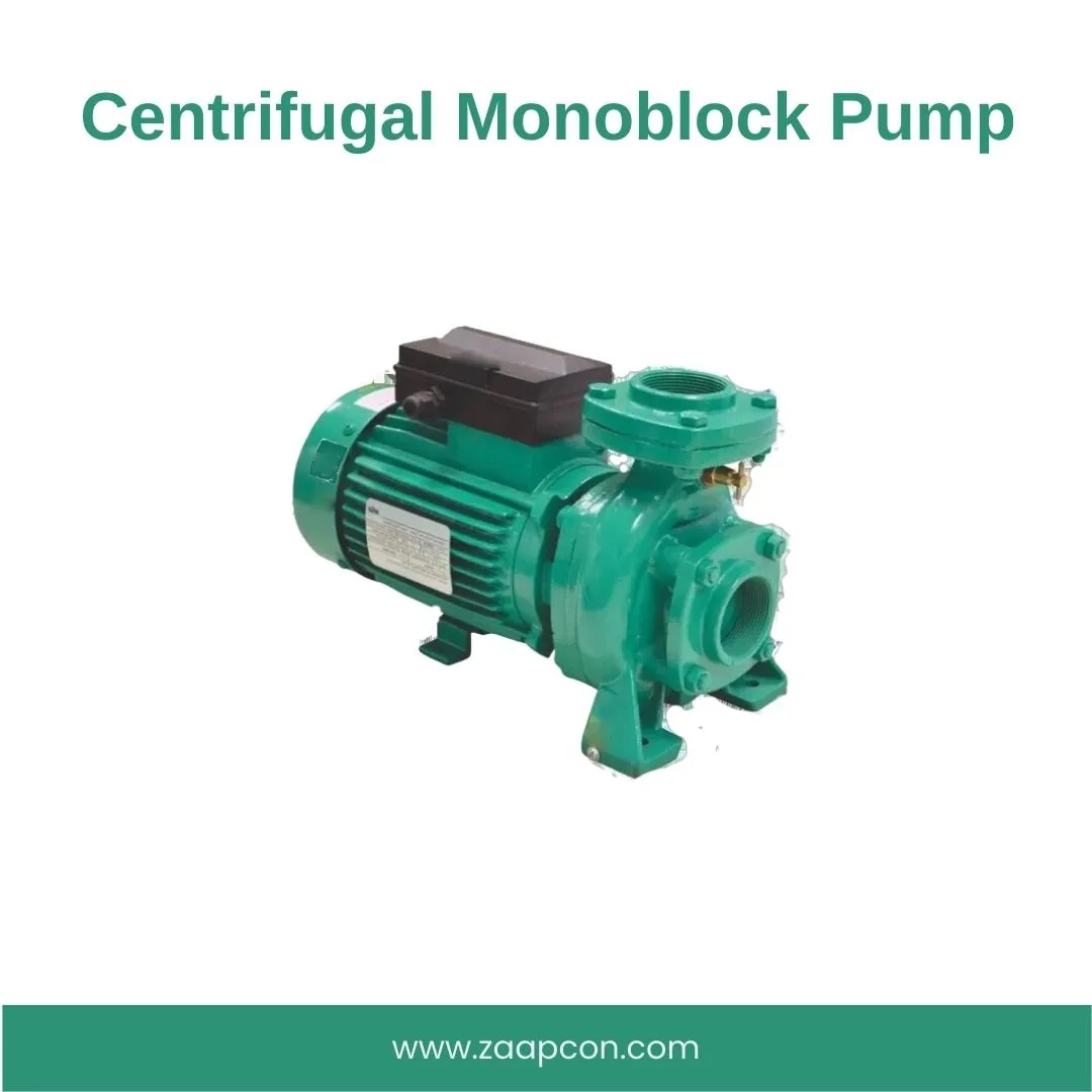 Centrifugal Monoblock Pump image 1