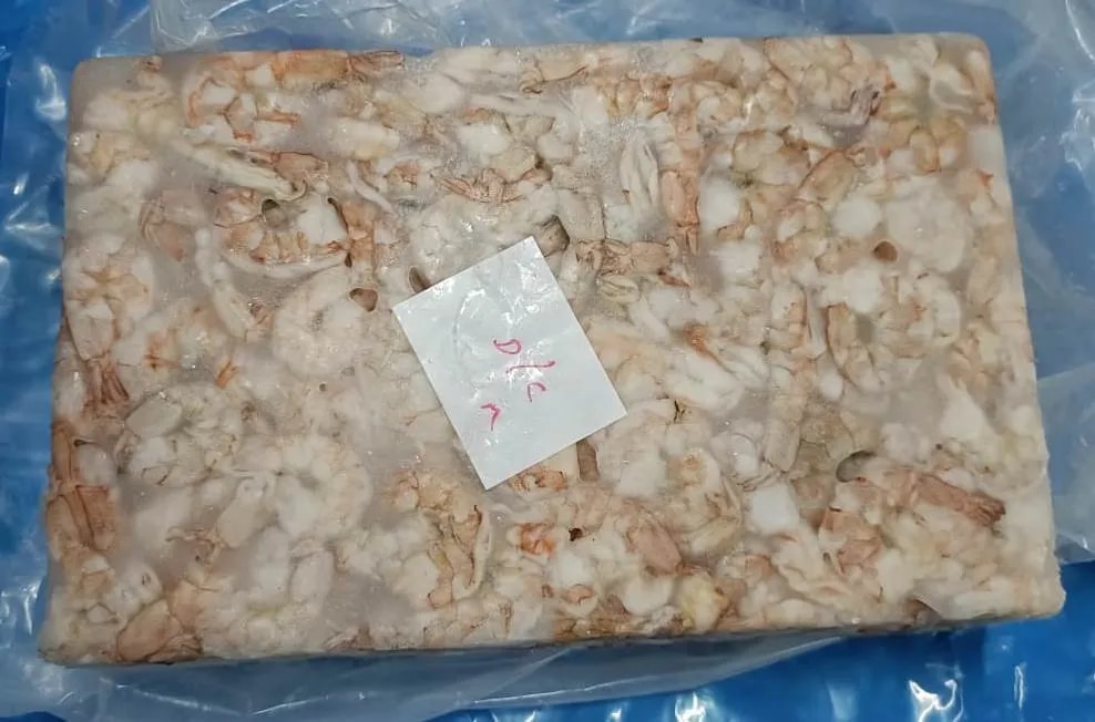 DC Shrimps/Prawns image 1