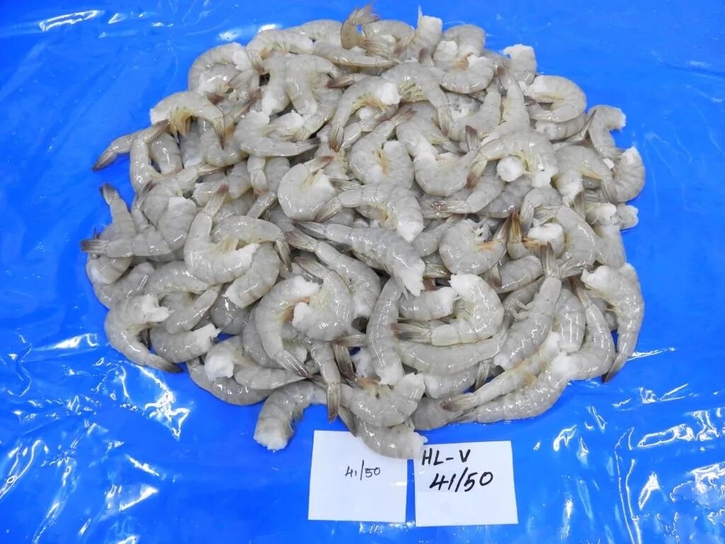 Headless Vannamei Shrimps - 41/50 grade image 1