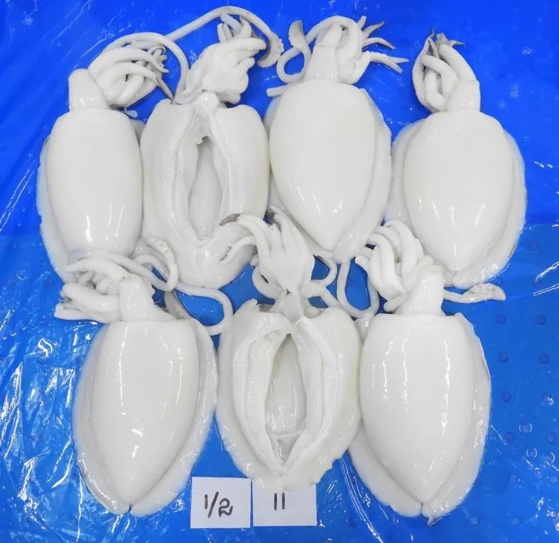 Cuttlefish whole cleaned (IQF) image 1