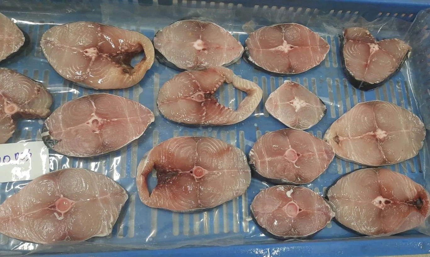 Seerfish slices (Vanjaram fish) image 1