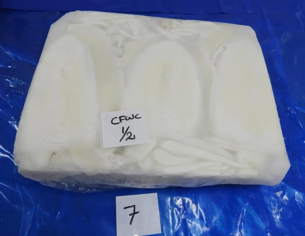 Cuttlefish whole cleaned (1/2 grade) image 1
