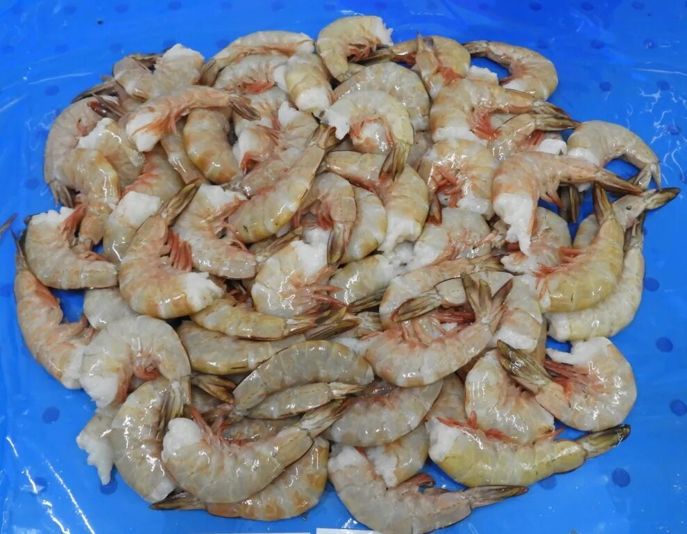 Headless white G2 Shrimps image 1