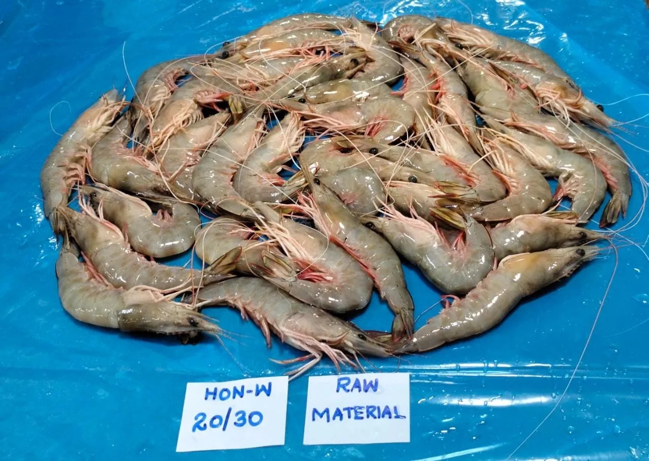 Head on white shrimps image 1