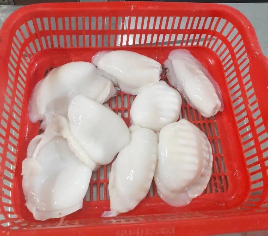 Cuttlefish fillet image 1