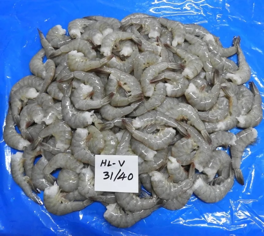 Headless Vannamei Shrimps image 1
