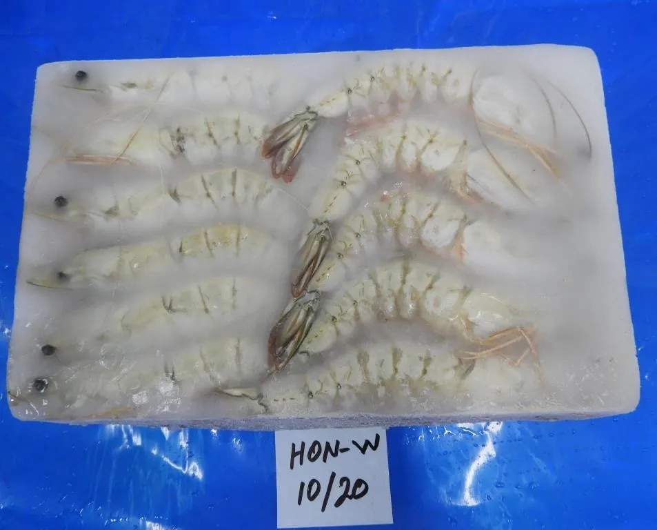 Head on white shrimps image 1