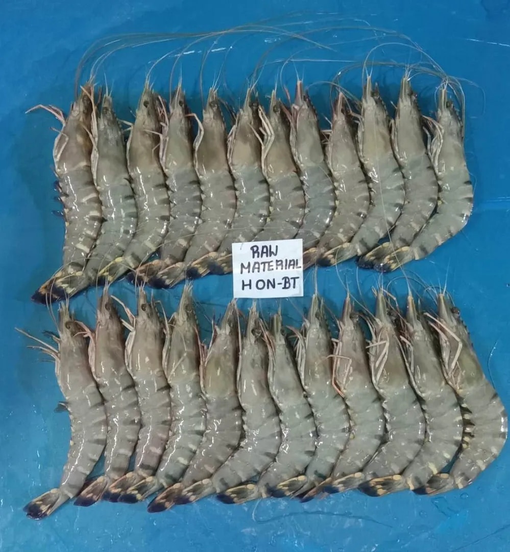 Head on Black Tiger Shrimps image 1