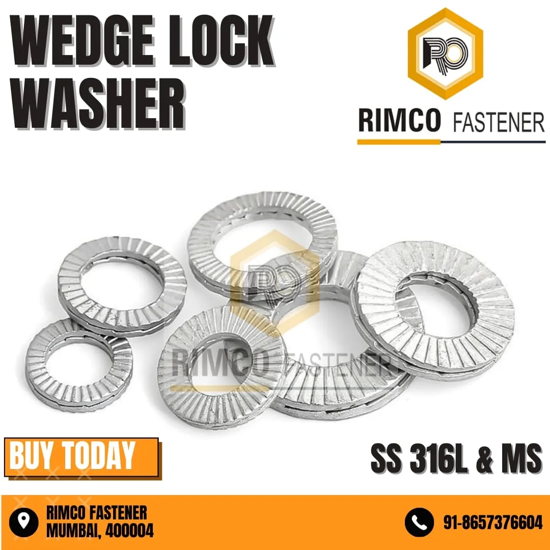 SS 316L WEDGE LOCK WASHER PAIRS image 1