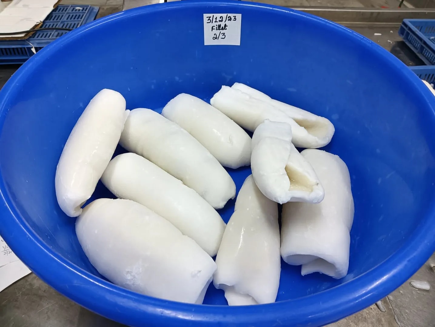 FROZEN CUTTLEFISH FILLET (IQF) image 1