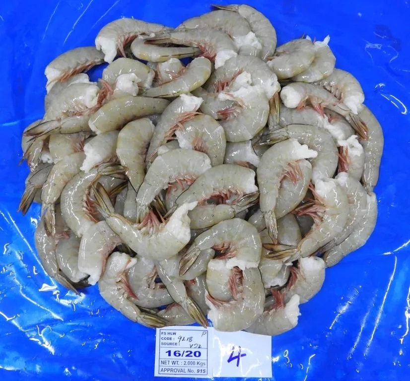 Headless white shrimps image 1