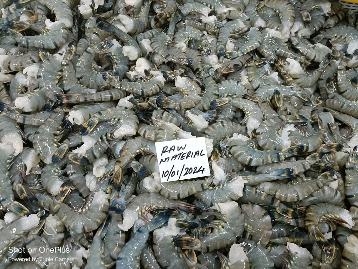 Headless Black Tiger Shrimps (Grade-1) image 1