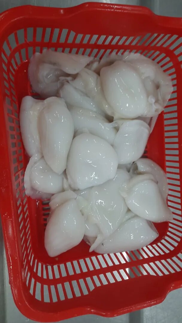 Cuttlefish Fillet image 1