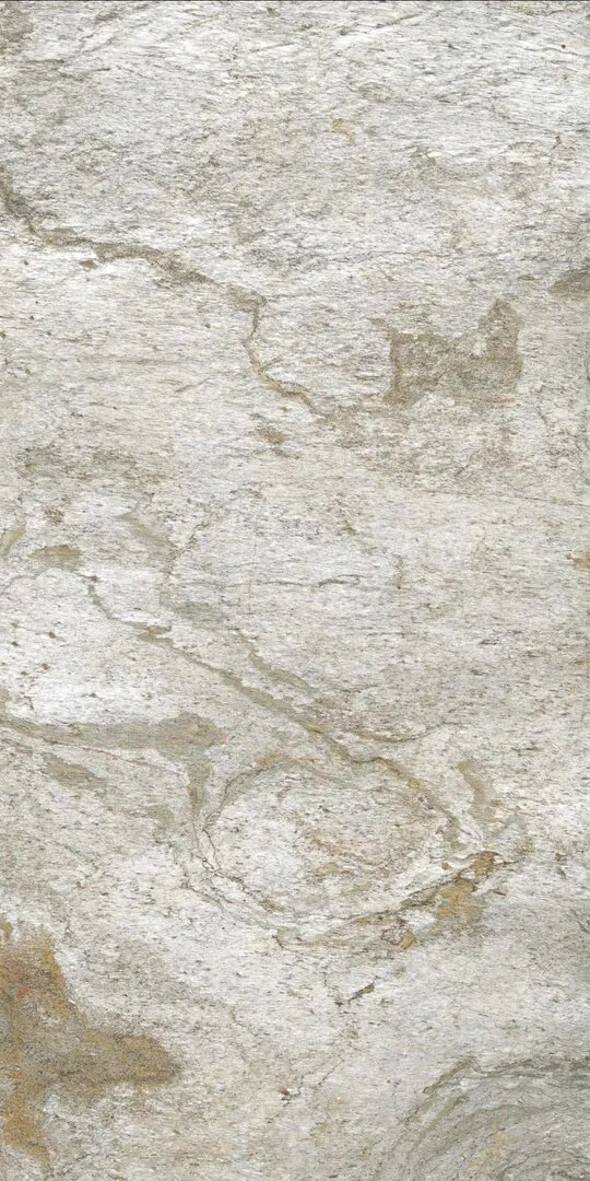 SILVER SHINE GOLD image 1