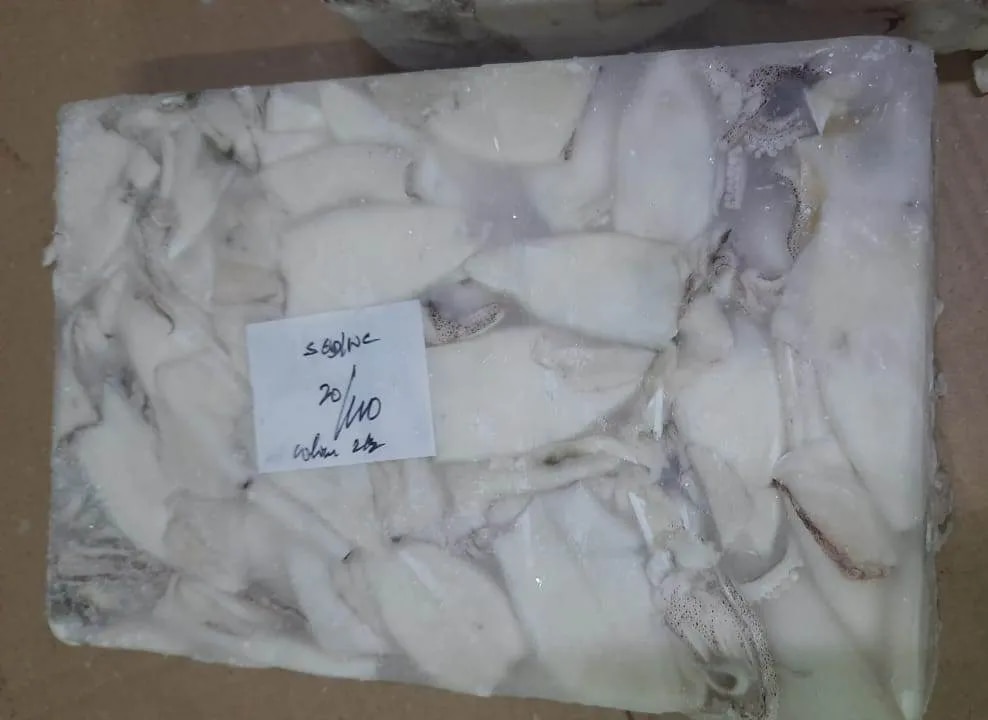 Squid whole cleaned (Block frozen) image 1