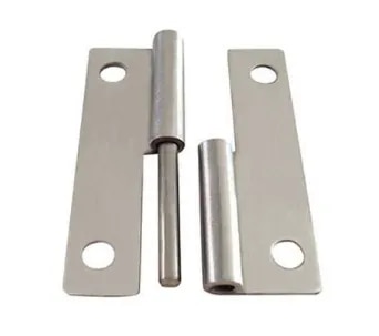 Removable Hinge image 1