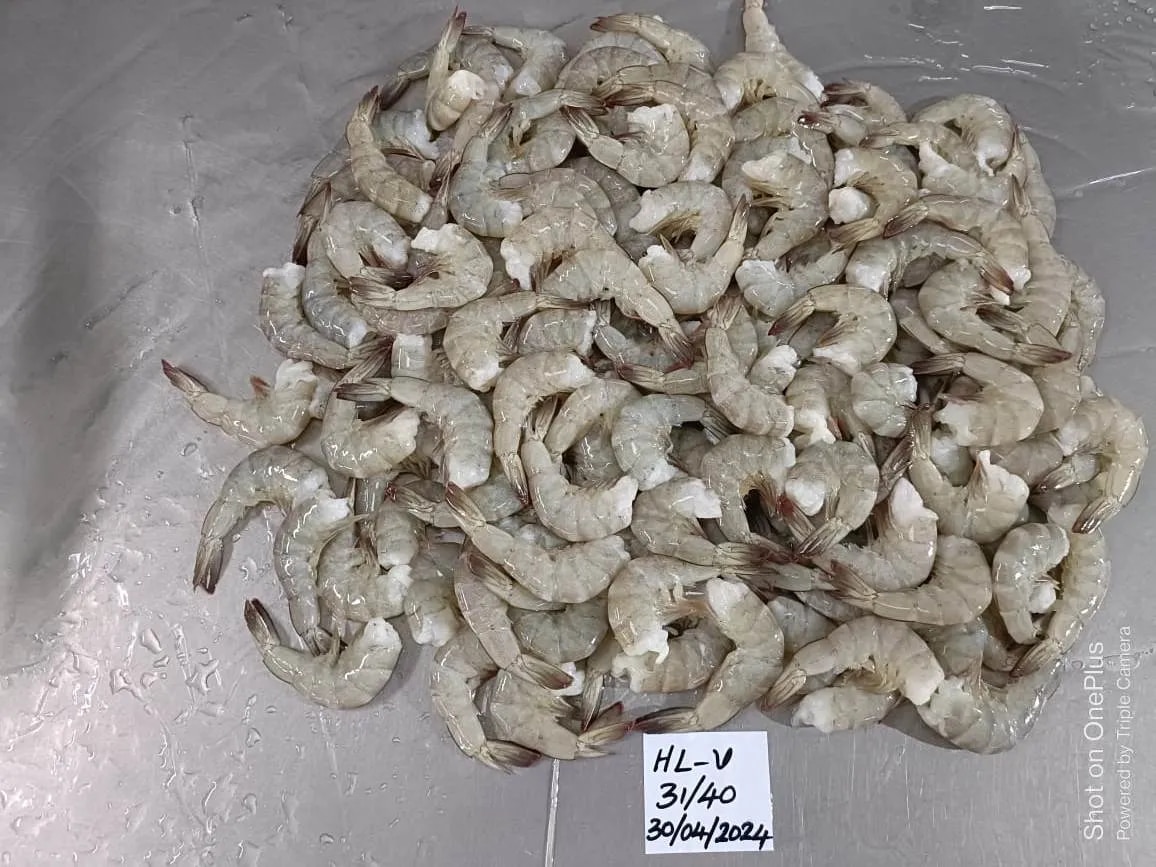 Headless Vannamei Shrimps image 1