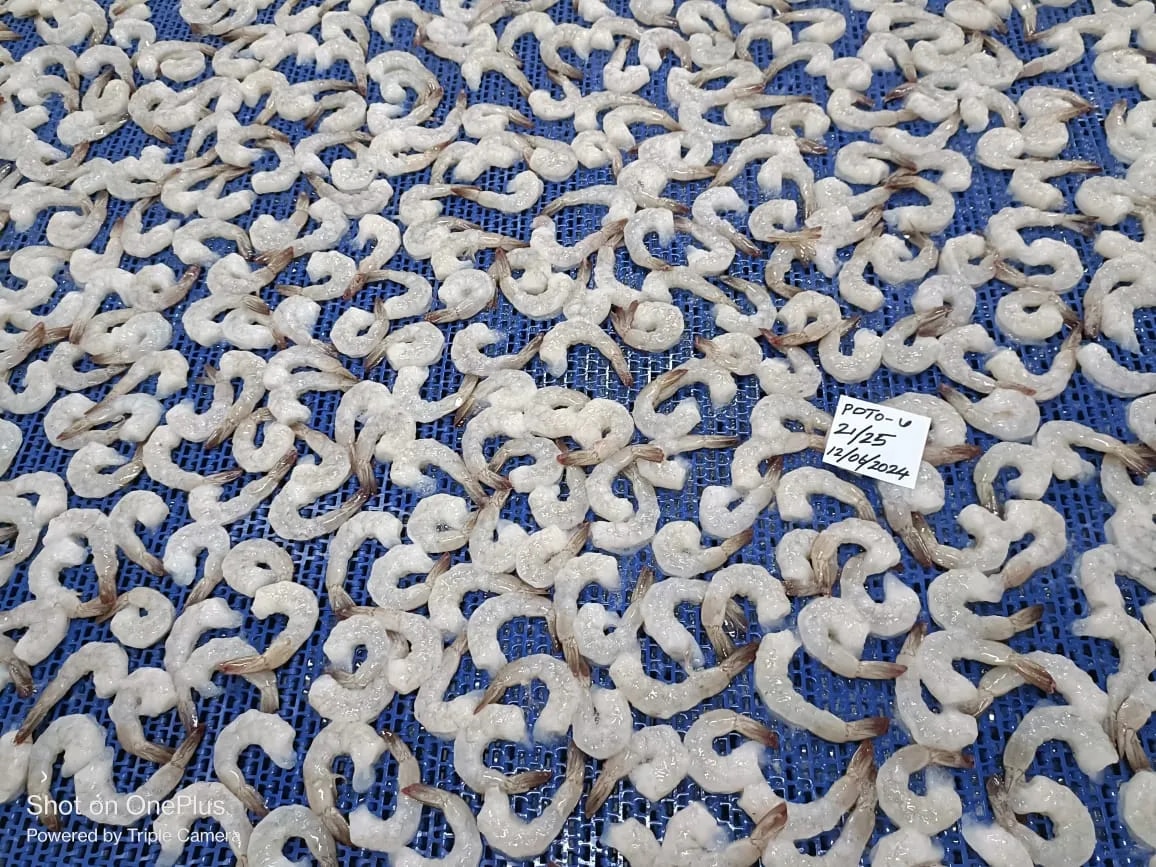 PDTO Vannamei Shrimps image 1