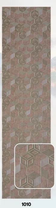1010 image 1